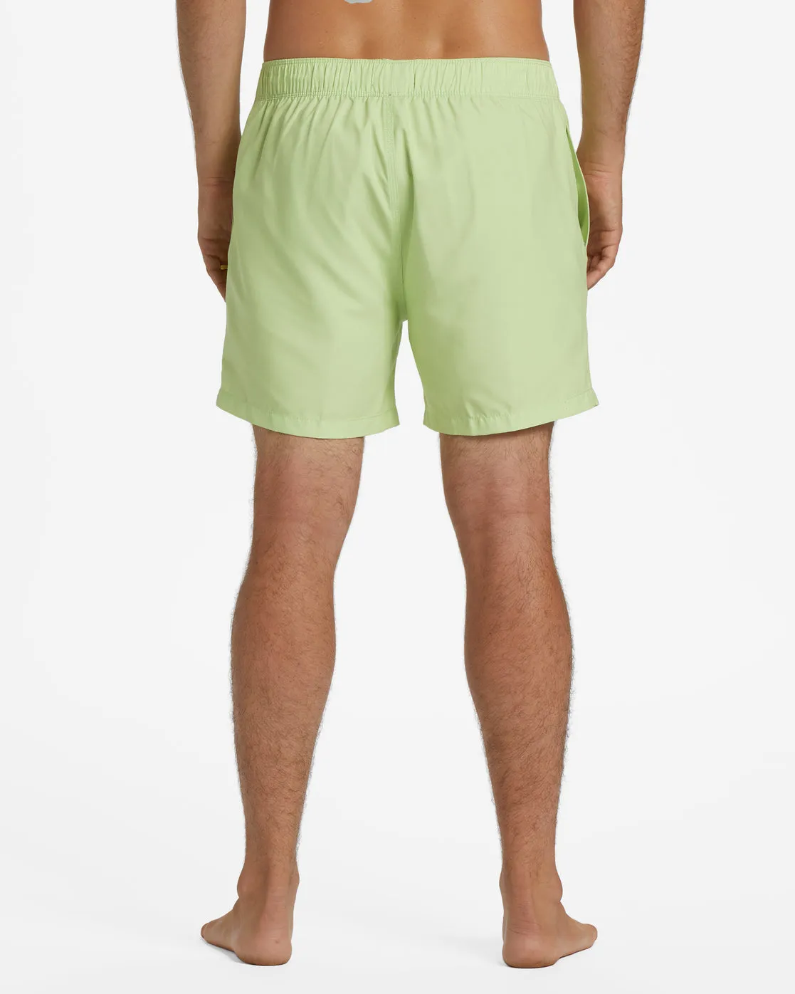 All Day Layback 16" Boardshorts - Citrus
