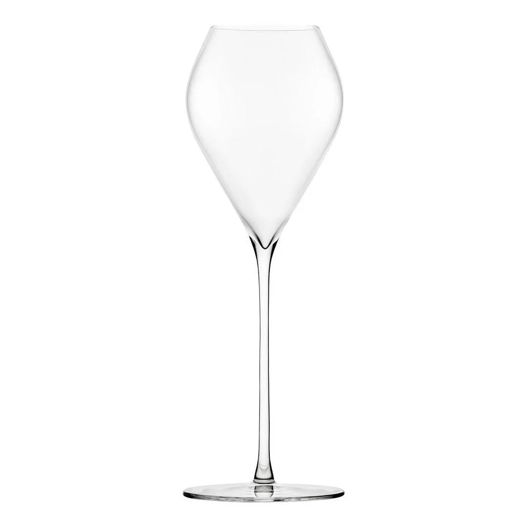 Diverto Crystal Champagne Glass