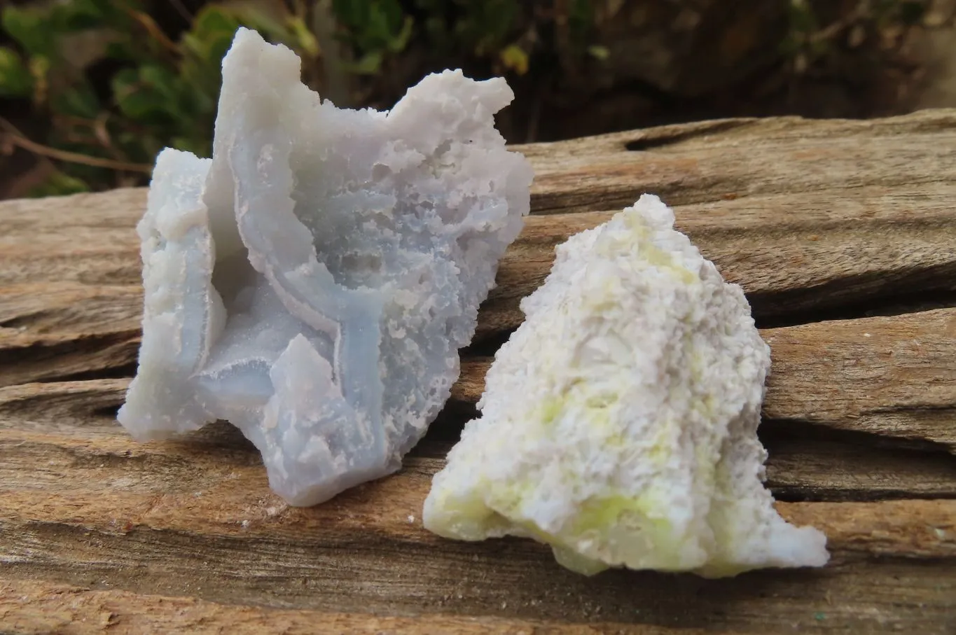 Natural Etched Blue Chalcedony Specimens x 35 From Malawi